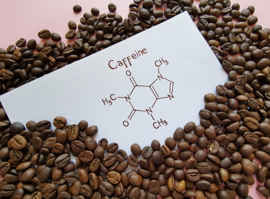 Riding the Caffeine Wave: A Dive into Your Daily Jolt