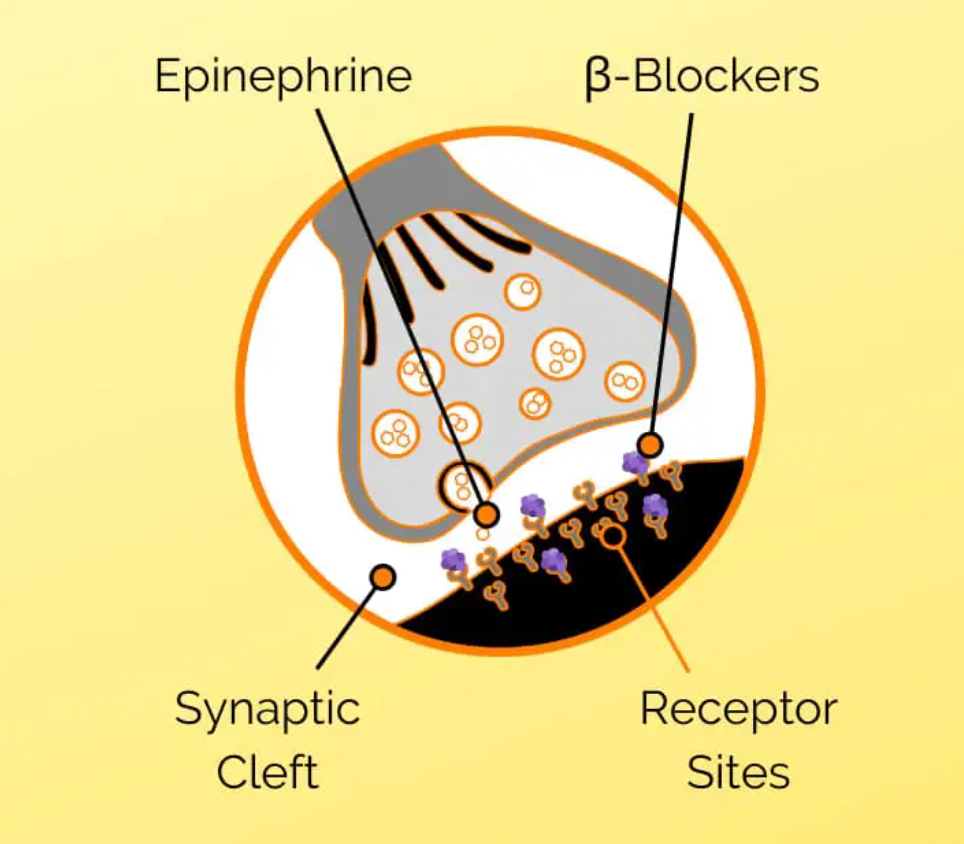 The Best Non-Prescription Beta Blockers For Social Anxiety