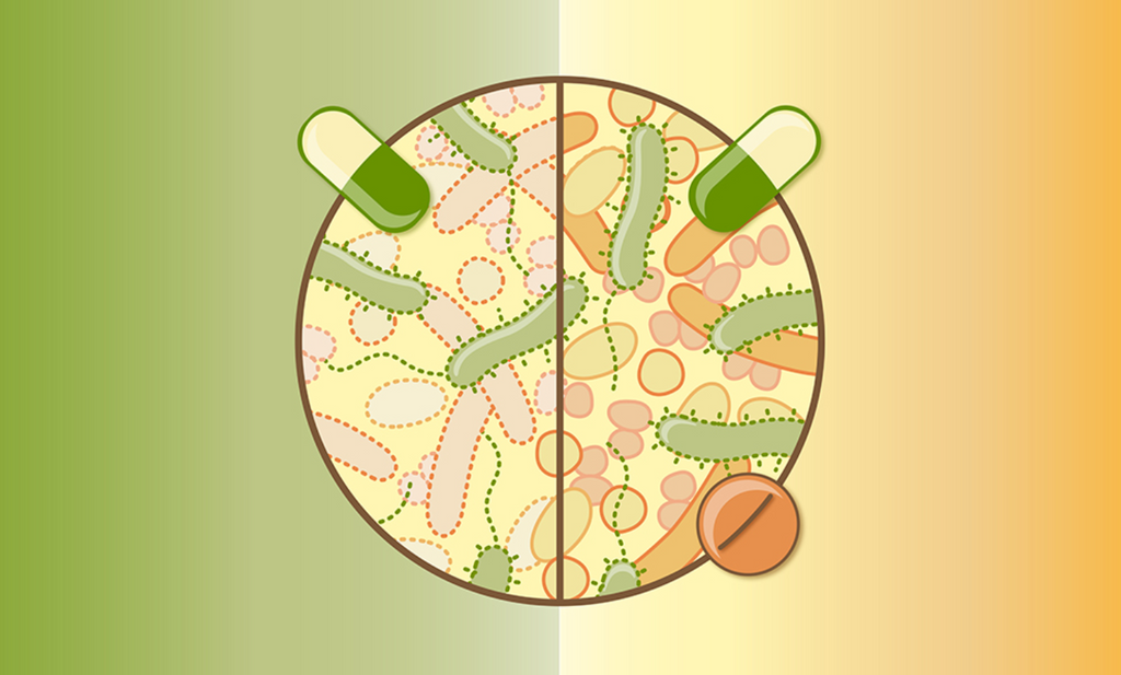 The Hidden War: How Antibiotics Disrupt Your Gut Biome and Overall Health