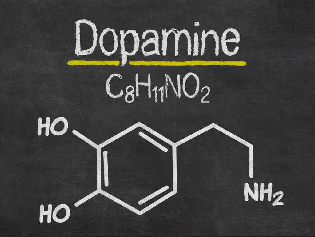 Dopamine: The Driver of Desire, Determination, and Delight