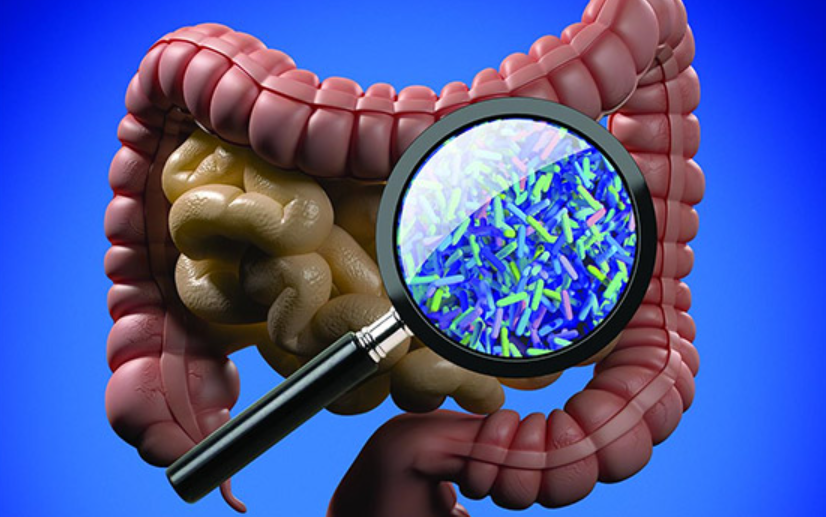 Navigating the Gut Biome and Its Effects on Mental Health