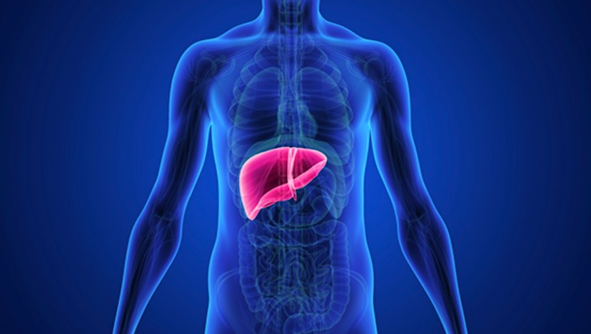 The Liver Lowdown: Supplements for Optimal Detox and Vitality