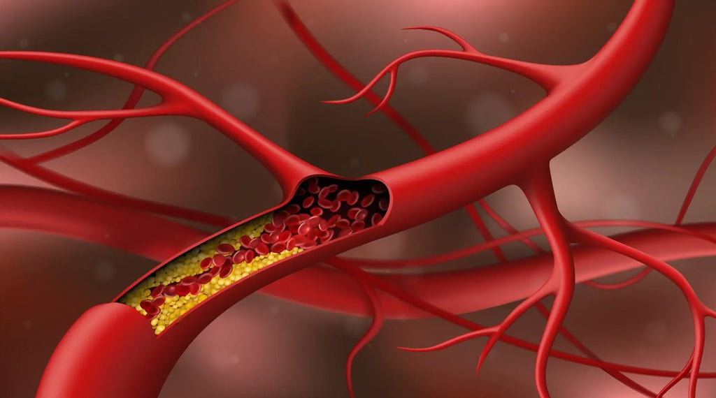 Cholesterol Chronicles: Decoding the Lipids That Shape Your Health