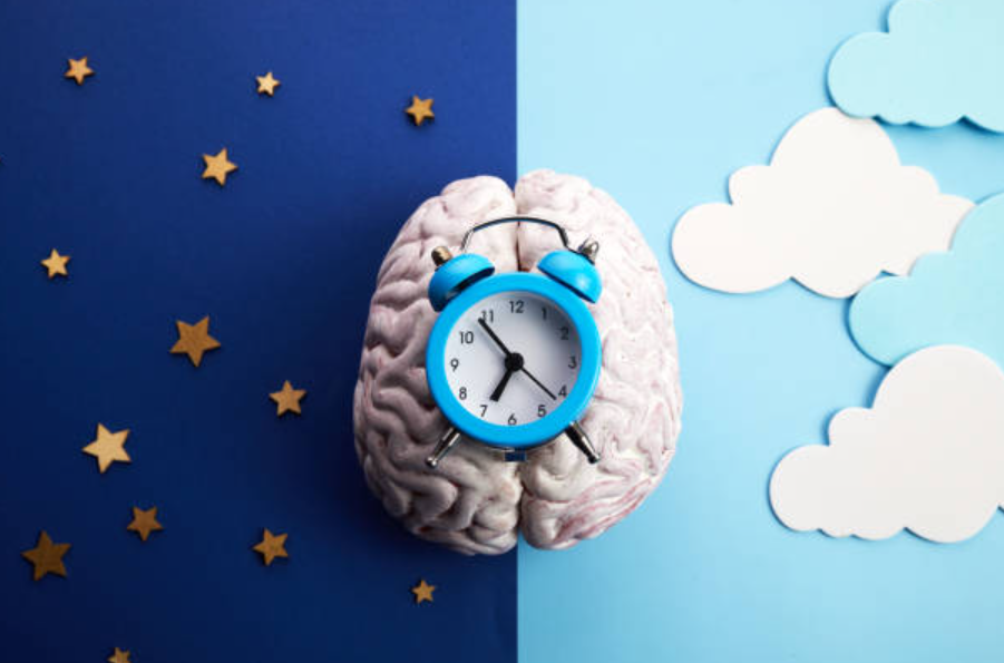 Navigating the Dreamland: Optimizing Your REM Cycles for Superior Sleep